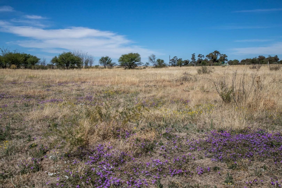 Commercial Property for Sale in Koppies Free State